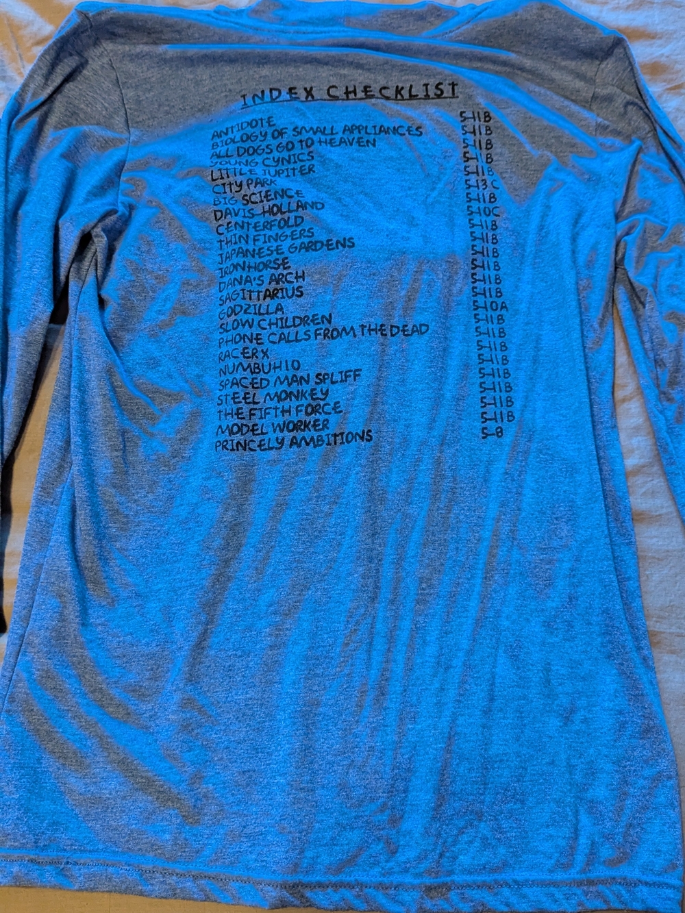 Anvil Blue Hooded Long-Sleeve with Mt. Index Graphic - Rock Climber - Picture 3 of 4
